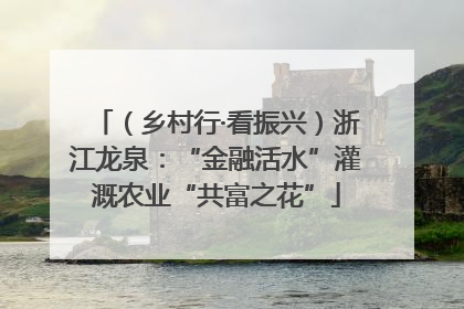 （乡村行·看振兴）浙江龙泉：“金融活水”灌溉农业“共富之花”