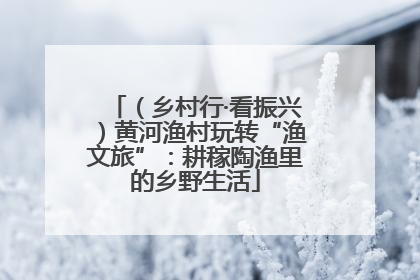 （乡村行·看振兴）黄河渔村玩转“渔文旅”：耕稼陶渔里的乡野生活