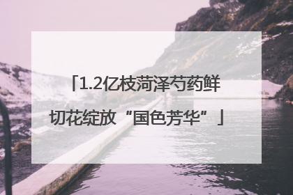 1.2亿枝菏泽芍药鲜切花绽放“国色芳华”