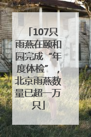 107只雨燕在颐和园完成“年度体检”，北京雨燕数量已超一万只