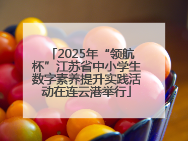 2025年“领航杯”江苏省中小学生数字素养提升实践活动在连云港举行