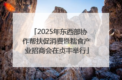 2025年东西部协作帮扶促消费暨糯食产业招商会在贞丰举行