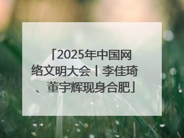 2025年中国网络文明大会丨李佳琦、董宇辉现身合肥