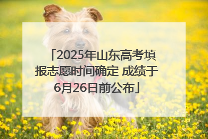 2025年山东高考填报志愿时间确定 成绩于6月26日前公布
