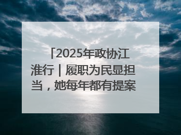 2025年政协江淮行｜履职为民显担当，她每年都有提案被评为“优秀”