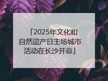 2025年文化和自然遗产日主场城市活动在长沙开幕
