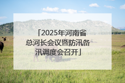 2025年河南省总河长会议暨防汛备汛调度会召开