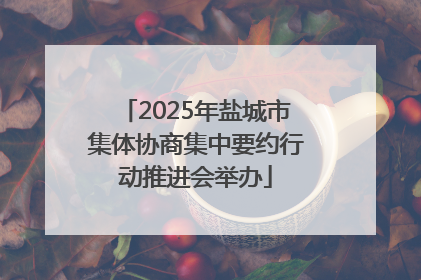 2025年盐城市集体协商集中要约行动推进会举办