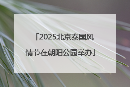 2025北京泰国风情节在朝阳公园举办