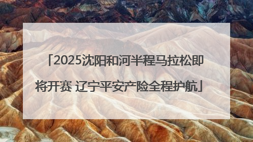 2025沈阳和河半程马拉松即将开赛 辽宁平安产险全程护航