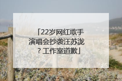 22岁网红歌手演唱会抄袭汪苏泷？工作室道歉