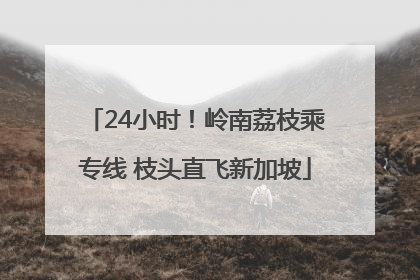 24小时！岭南荔枝乘专线 枝头直飞新加坡