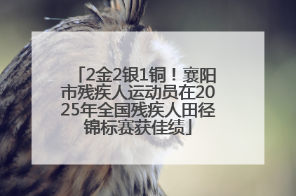 2金2银1铜！襄阳市残疾人运动员在2025年全国残疾人田径锦标赛获佳绩