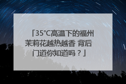 35℃高温下的福州茉莉花越热越香 背后门道你知道吗？