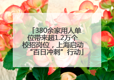 380余家用人单位带来超1.2万个校招岗位，上海启动“百日冲刺”行动