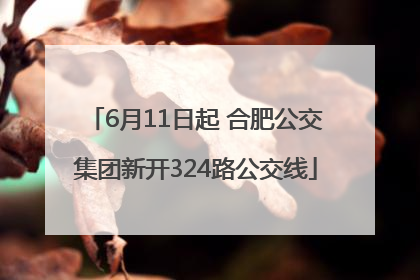 6月11日起 合肥公交集团新开324路公交线