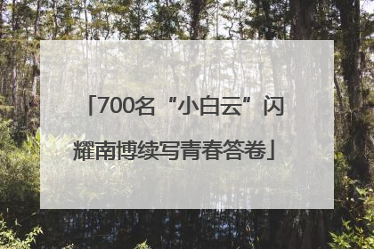 700名“小白云”闪耀南博续写青春答卷