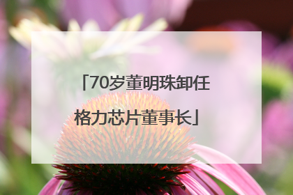 70岁董明珠卸任格力芯片董事长