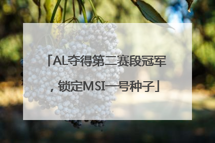 AL夺得第二赛段冠军，锁定MSI一号种子