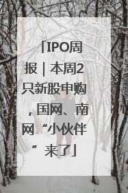 IPO周报｜本周2只新股申购，国网、南网“小伙伴”来了