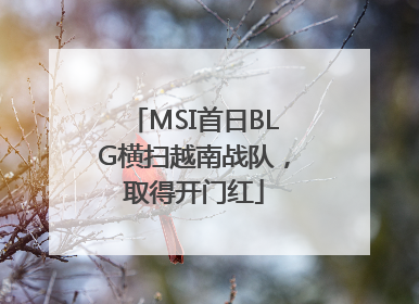 MSI首日BLG横扫越南战队，取得开门红