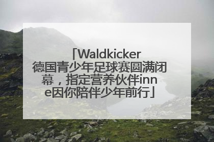 Waldkicker德国青少年足球赛圆满闭幕，指定营养伙伴inne因你陪伴少年前行